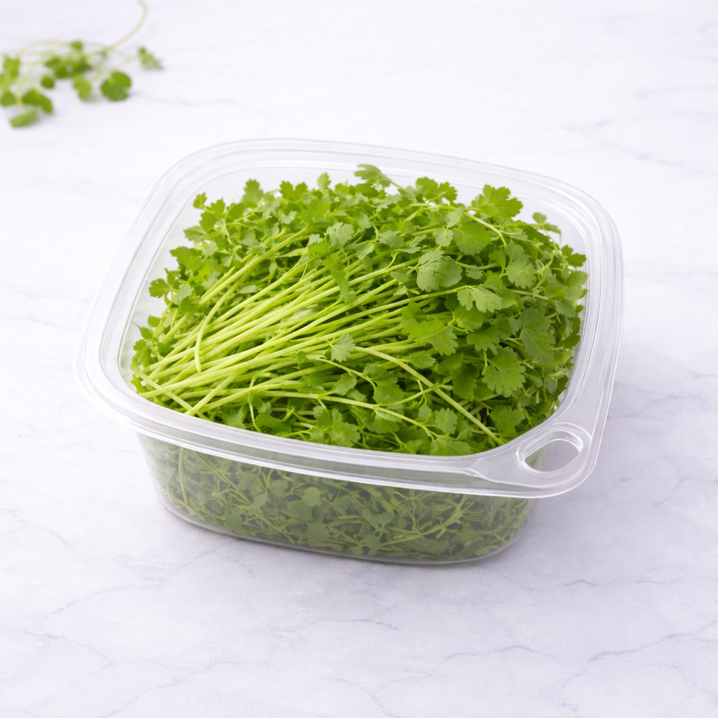 Cilantro Greens