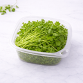 Cilantro Greens