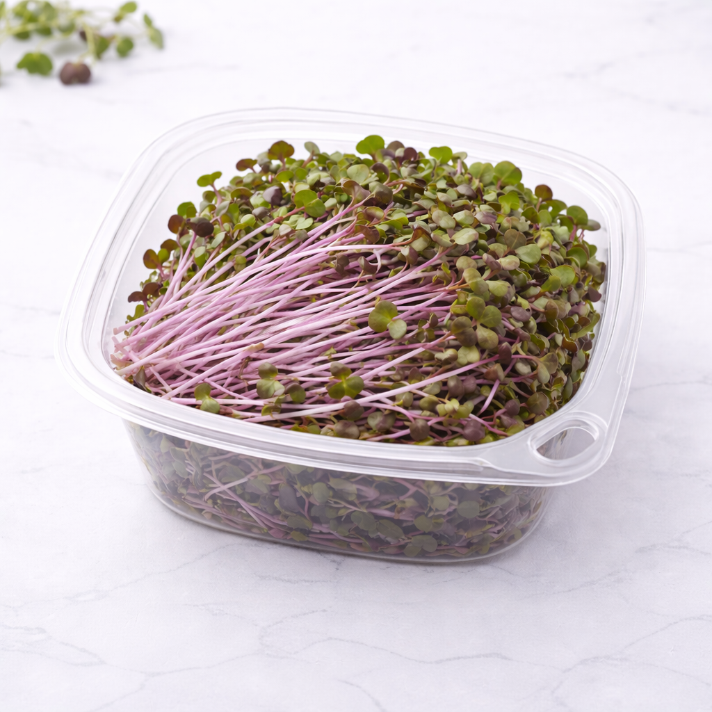 Red Acre Cabbage Greens