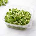 Sunflower Greens